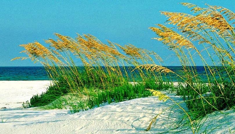 Emerald Isle Pensacola Beach Exterior photo